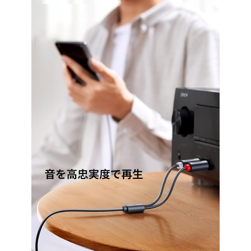 UGREEN RCA 3.5mm 変換ケーブル 25cm 九州・福岡レンタル